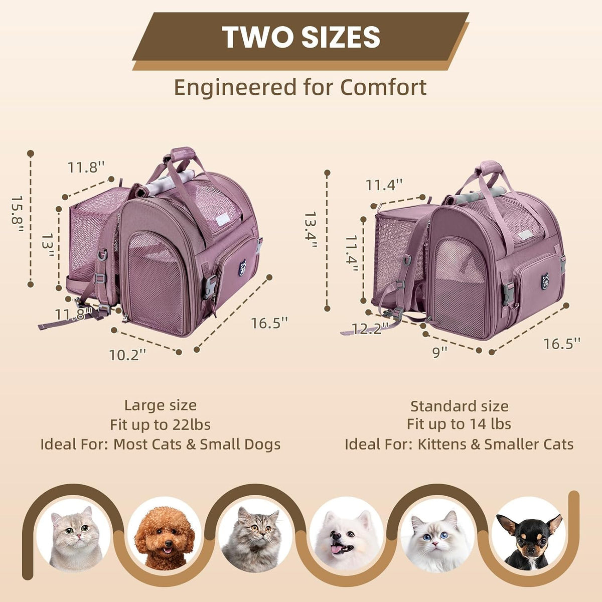 Lollimeow Expandable Large Cat Carrier Backpack, Supports up to 22 lbs