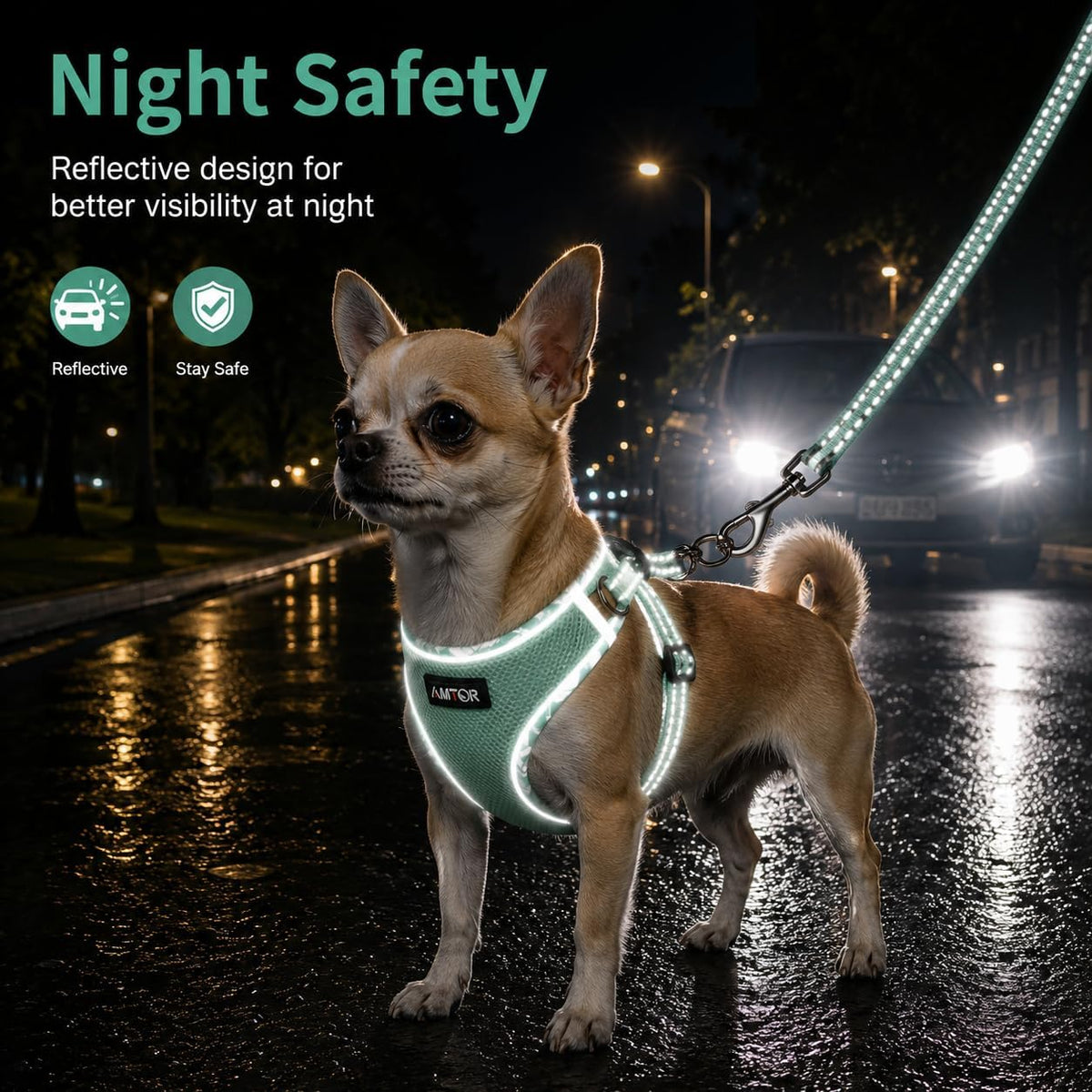 AMTOR Small Dog Harness with Leash Set, No Escape Easy Walk Puppy Harnesses for Training Walking, Step-in Reflective Soft Dogs Vest for XS S Medium Extra-Small Large Sized Dog(Green,S)