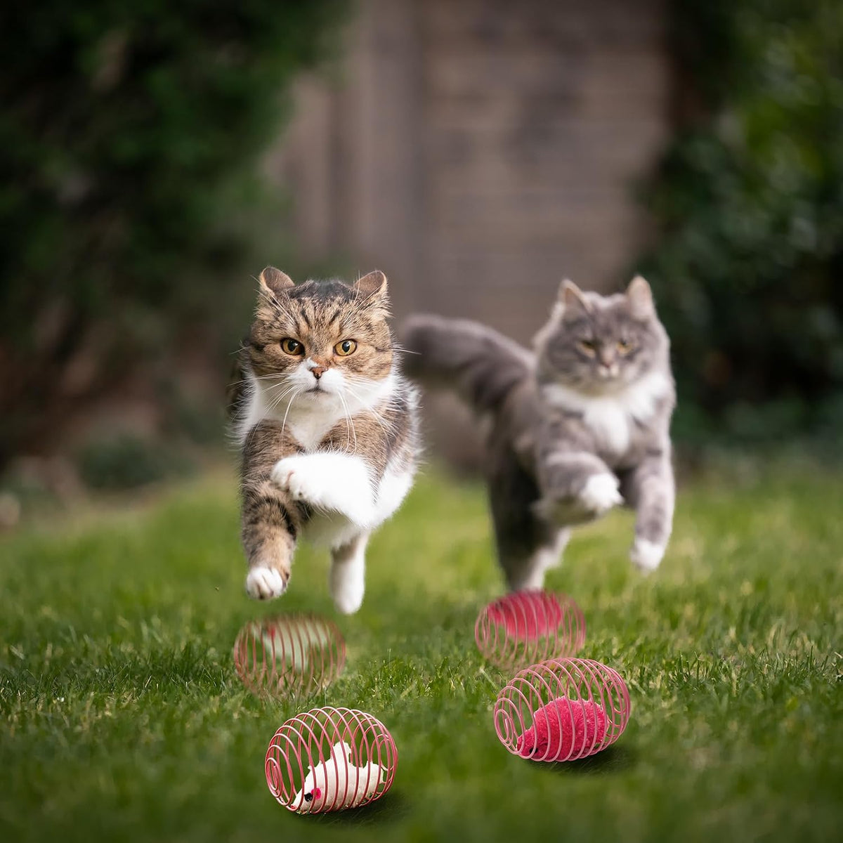 Jecery 5 Pcs Cat Toys Spring,Mouse,Pink