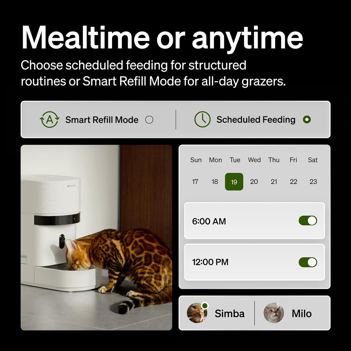 PETLIBRO Automatic Cat Feeder with Camera, Scale AI Smart Food Intake Track