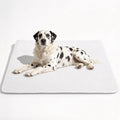 Giant Dog Mat 60"x40", Washable Waterproof Non-Slip Thin Pad, XL