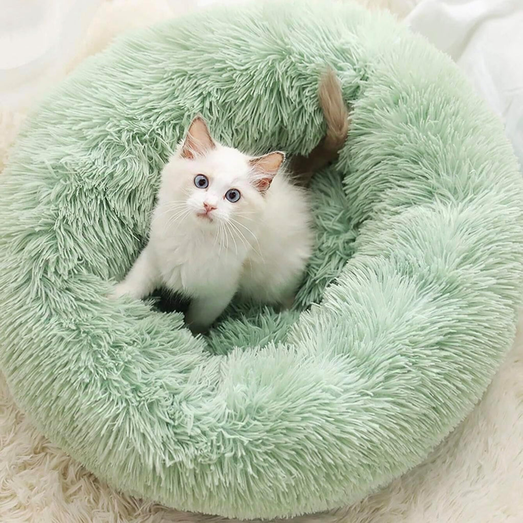 Cat Beds for Indoor Cats - Cat Bed Washable 24 inches, Dog Beds for Small Medium Dogs, Anti Anxiety Round Fluffy Plush Faux Fur Cat Bed, Thick Bottom (Light Green, Large 24" L x 24" W)