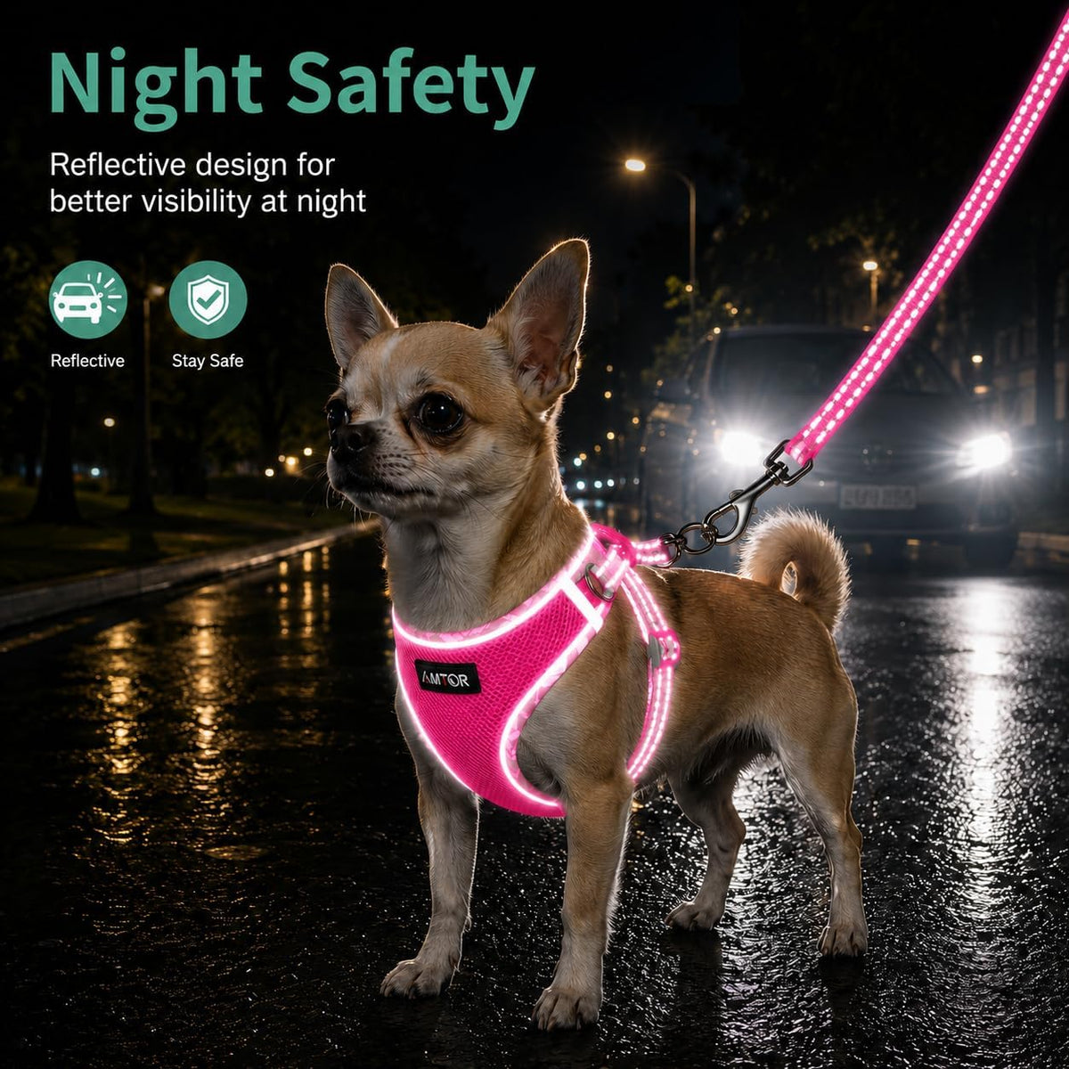 AMTOR Small Dog Harness with Leash Set, No Escape Easy Walk Puppy Harnesses for Training Walking, Step-in Reflective Soft Dogs Vest for XS S Medium Extra-Small Large Sized Dog(Fuchsia,XL)