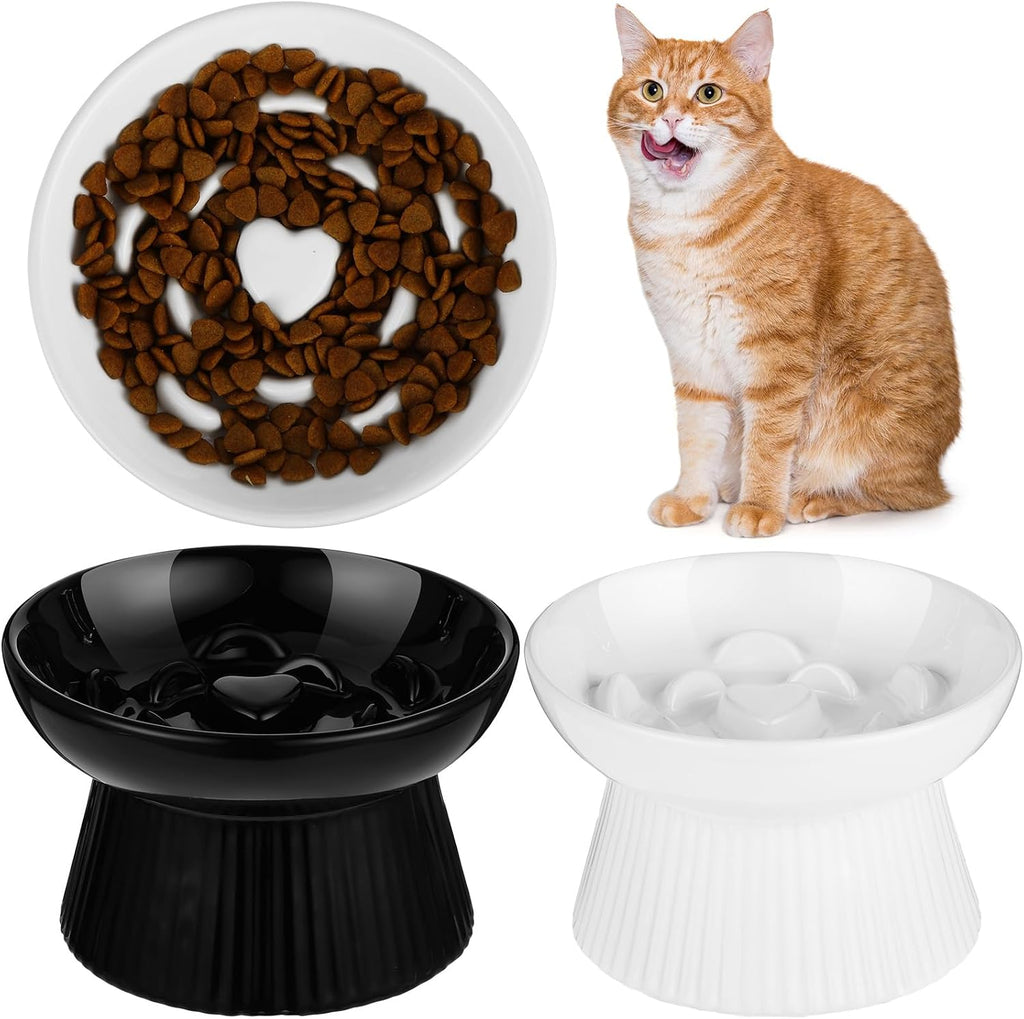 Tioncy 2 Pcs Ceramic Elevated Slow Feeder Cat Bowl, Black, White