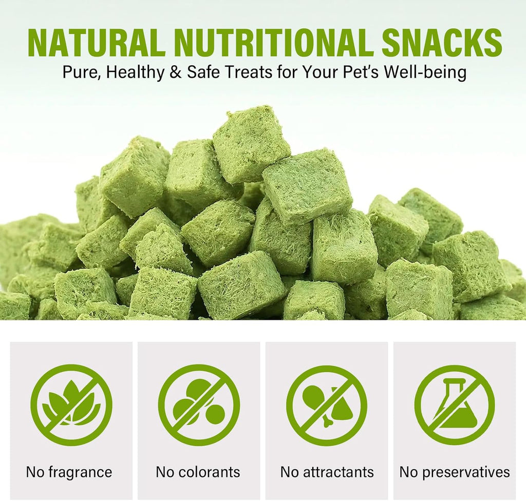 AiRunTech Cat Grass Treats, Cat Grass for Indoor Cats, 120g