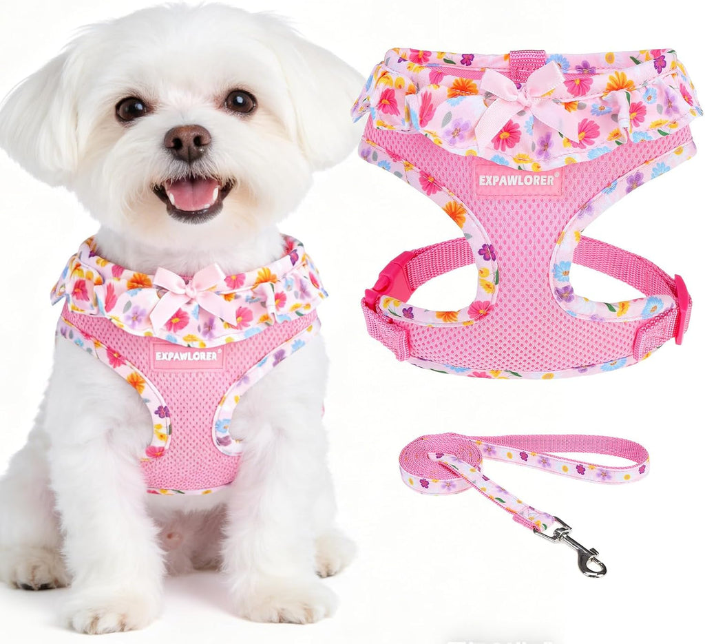 EXPAWLORER Step-in Small Dog Harness and Leash Set, Pink Floral M
