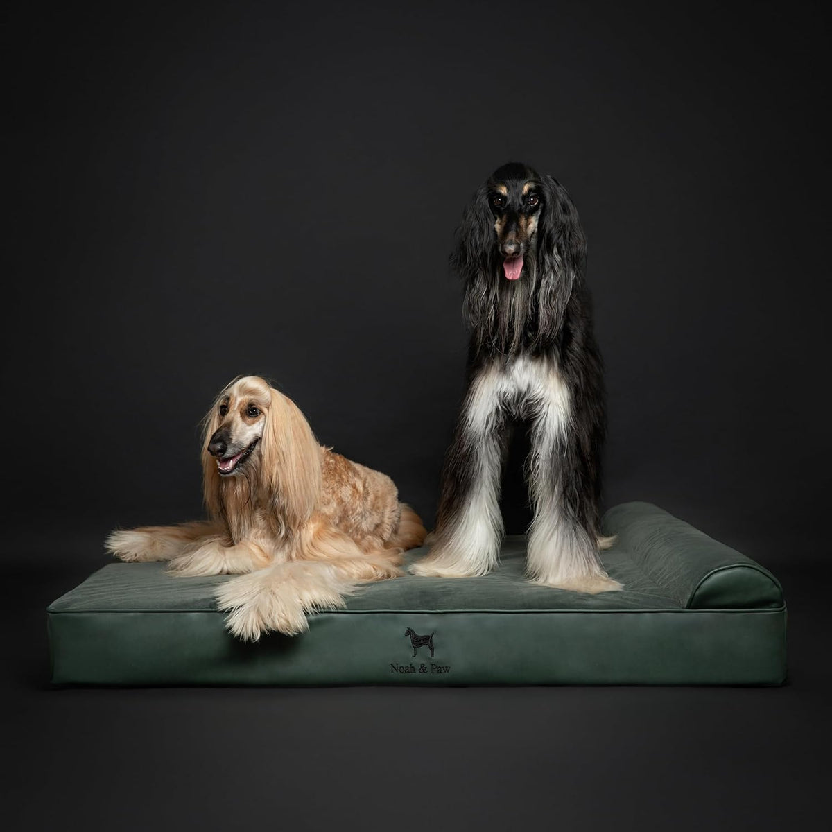 NOAH & PAW XXL Dog Bed Orthopedic Memory Foam Cooling Gel 55x45x9.5 in