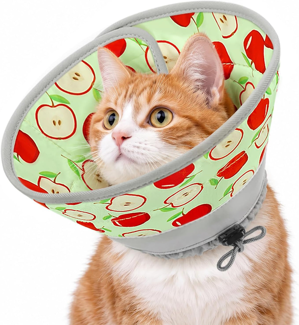 Adjustable Cat Cone Collar to Stop Licking After Surgery Recovery