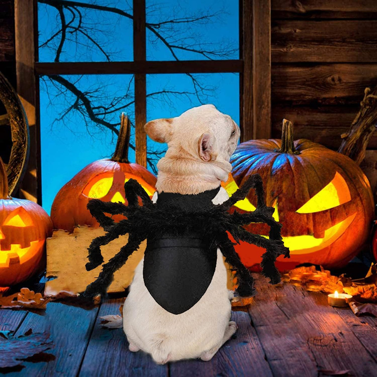 Halloween Spider Costume for Dog Cat, Halloween Pet Costume Halloween Decorations, Spider Decor Halloween Party Supply, Spider Cosplay Costumes with Adjustable Velcro for Small Medium Dogs and Cats