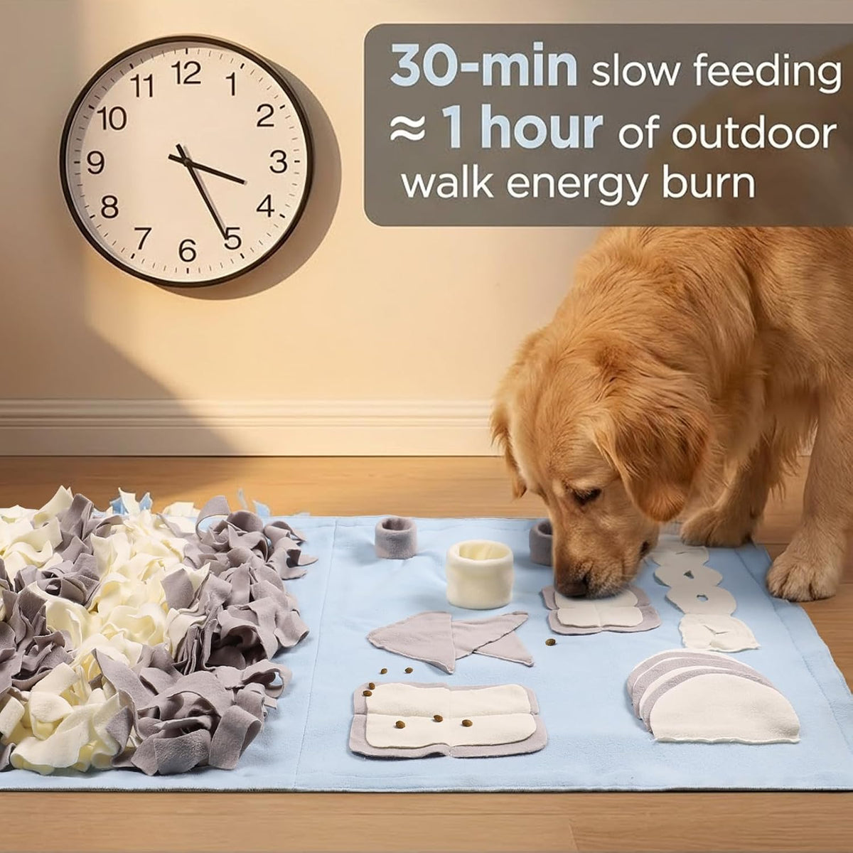 Snuffle Mat for Dogs: Slow Food Interactive Experience