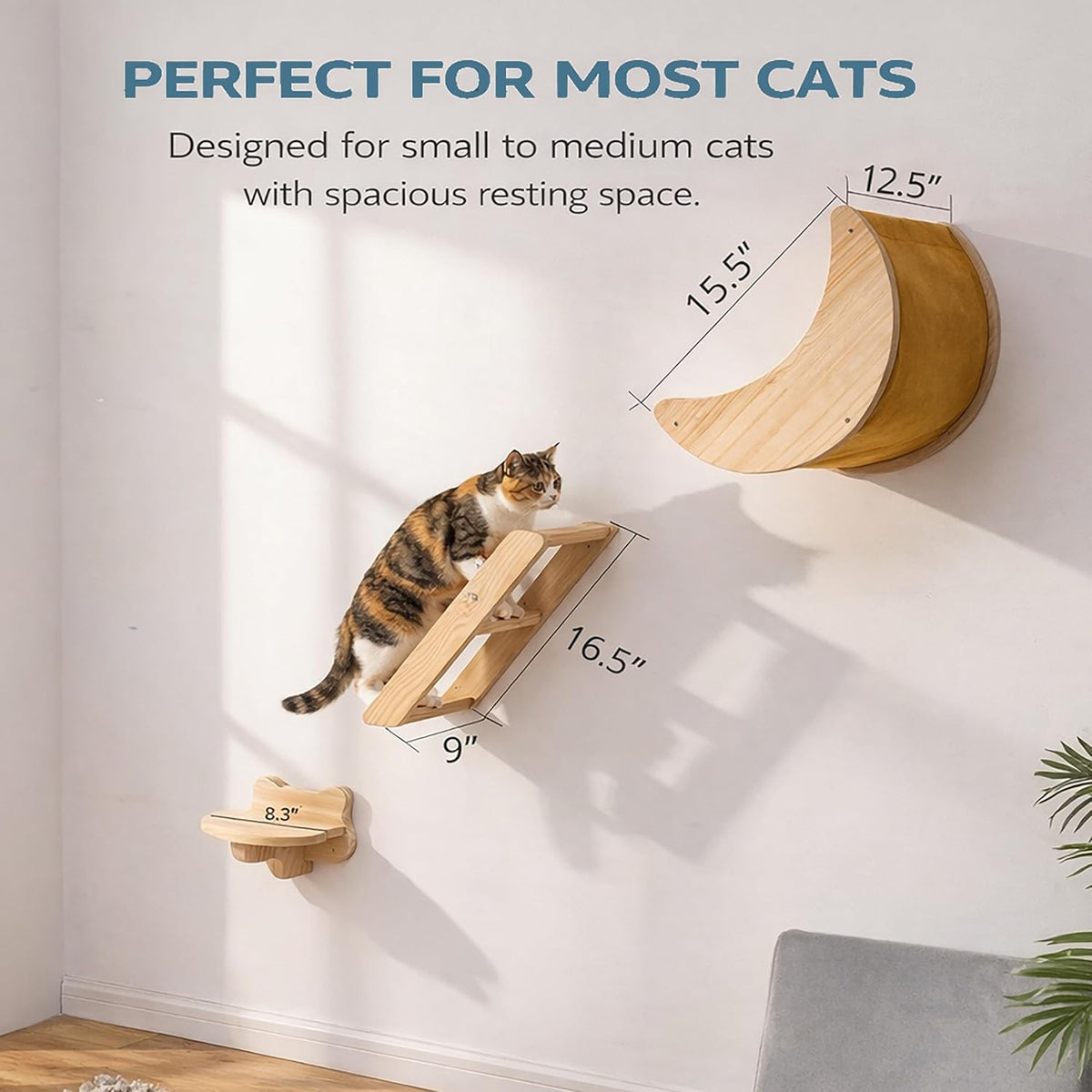 Cat Wall Shelves Set,Solid Wood Moon Bed,Perch & Stair for Climb and Rest