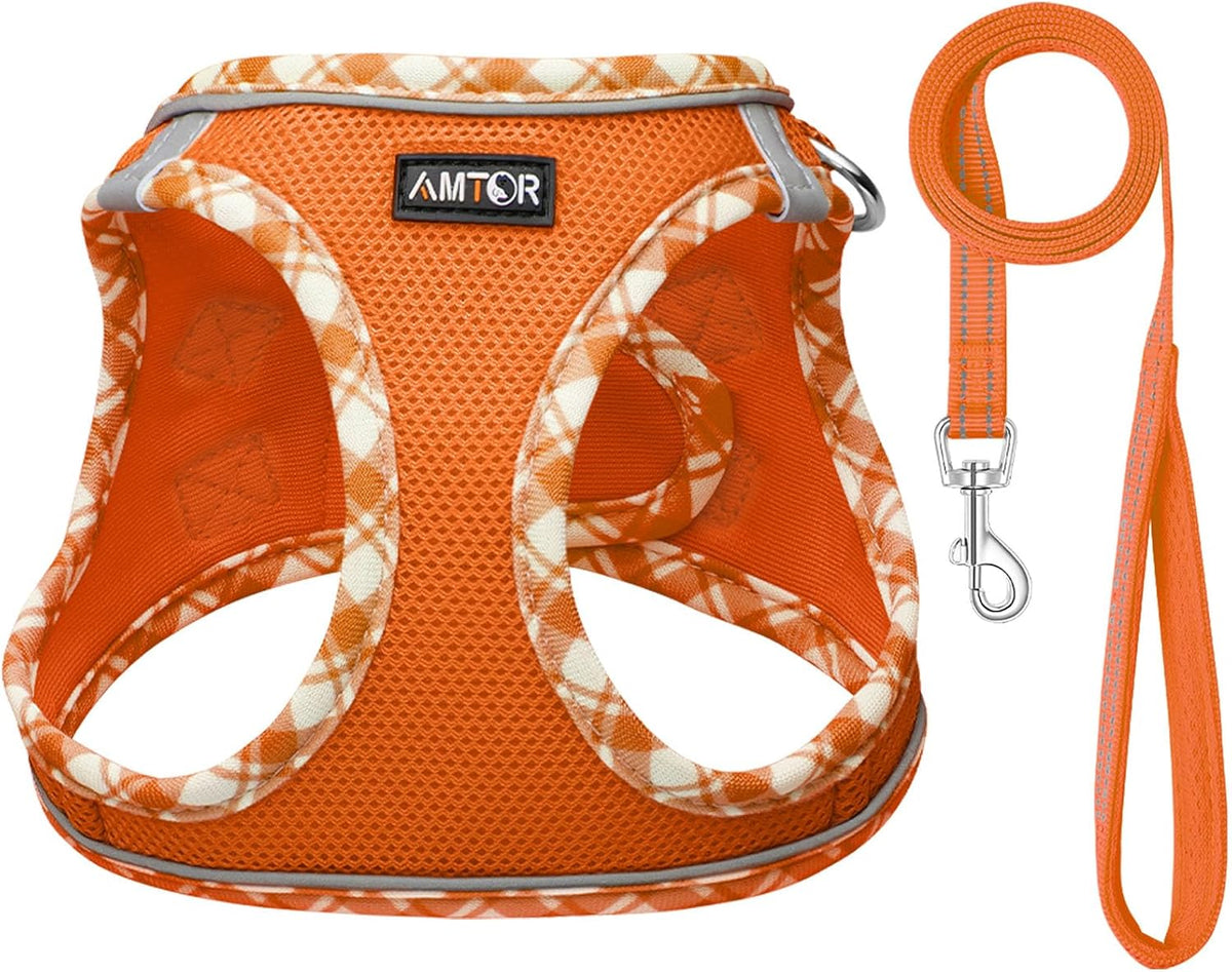 AMTOR Small Dog Harness with Leash Set, No Escape Easy Walk Puppy Harnesses for Training Walking, Step-in Reflective Soft Dogs Vest for XS S Medium Extra-Small Large Sized Dog(Orange/White,XXS)