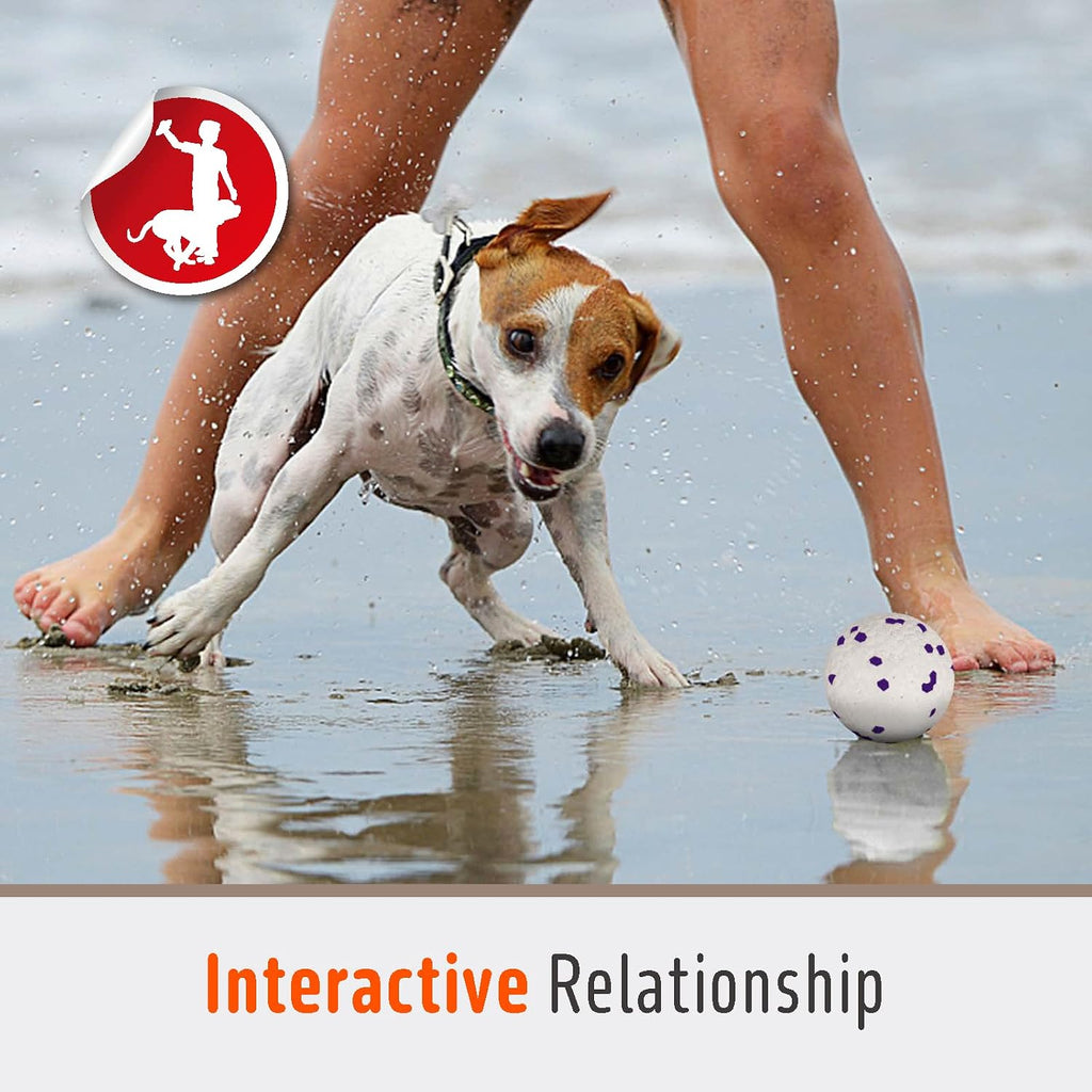 FOFOS Dog Balls Tennis Balls Dog Chew Toys for Aggressive Chewers ETPU 4Pcs | Indestructible Dog Balls Teething Dog Chew Toys Floating Water Balls Interactive Fetch Ball Gift for Small Large Medium Dogs