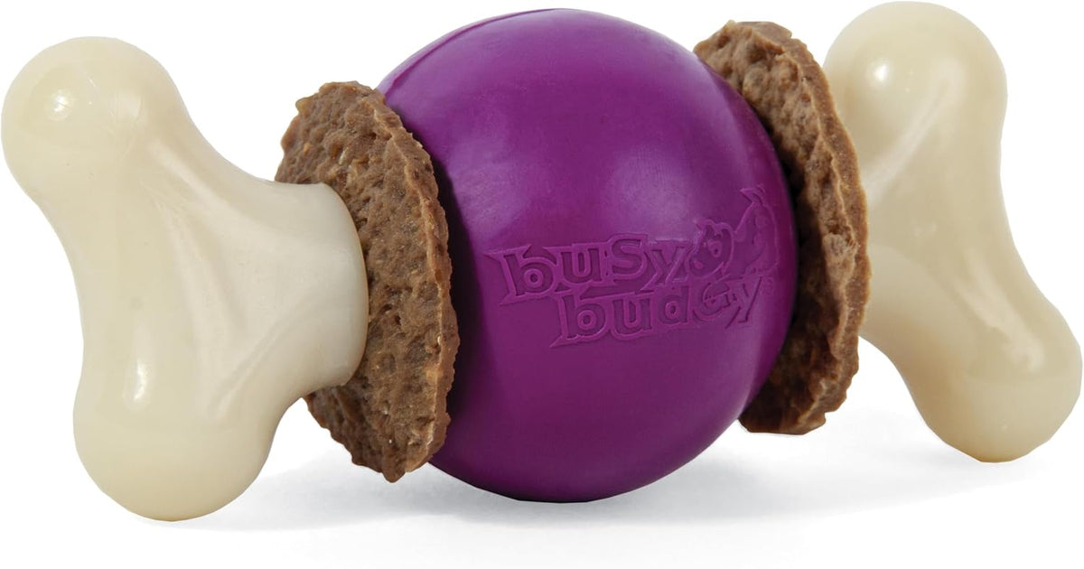 PetSafe Busy Buddy Bouncy Bone Treat Holding Dog Chew Toy, Large