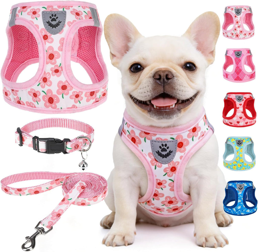 SCENEREAL Small Dog Harness Collar and Leash Set,Cute Puppy Harness No Pull