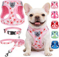 SCENEREAL Small Dog Harness Collar and Leash Set,Cute Puppy Harness No Pull