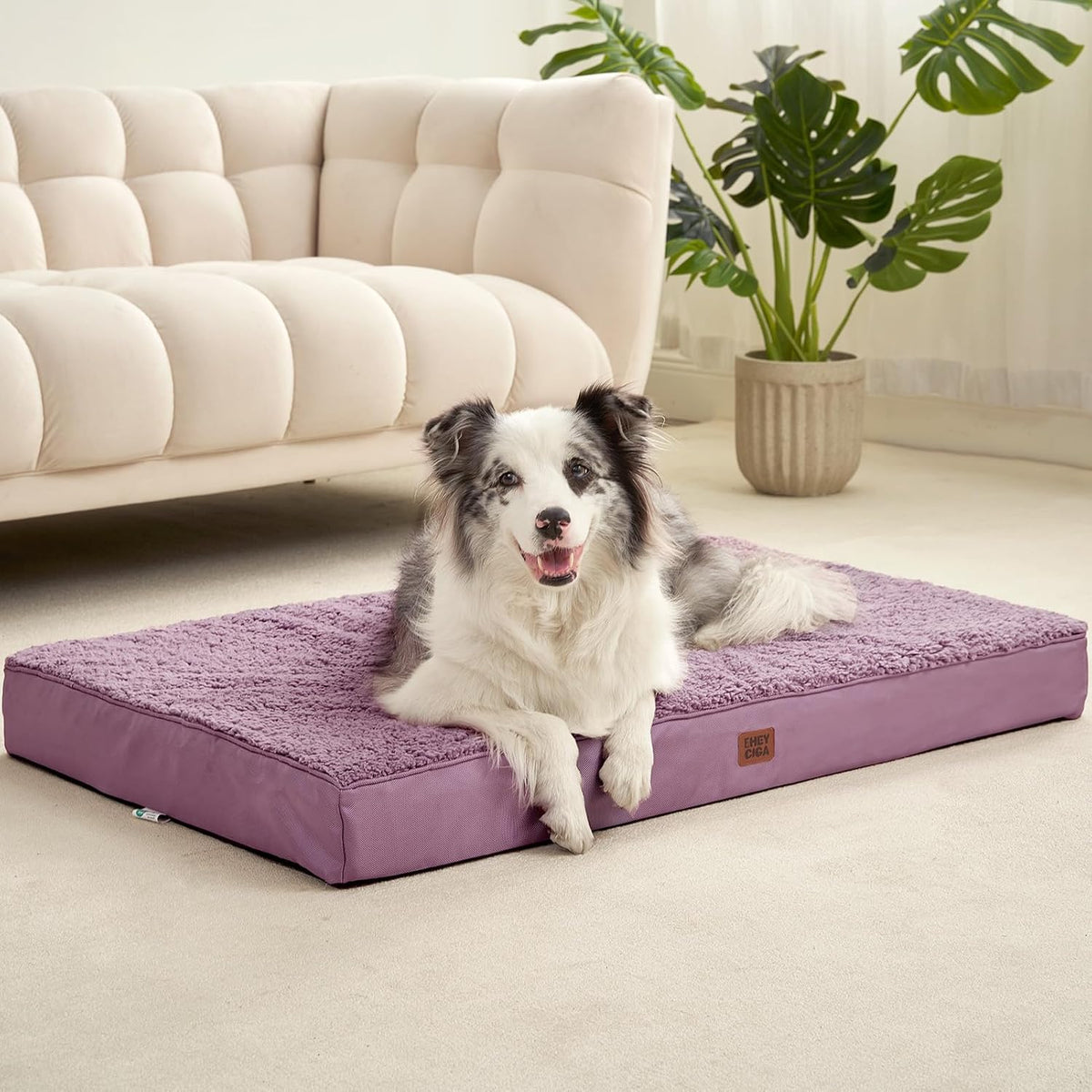 EHEYCIGA Orthopedic Dog Bed Extra Large with Removable Washable Cover, 47IN