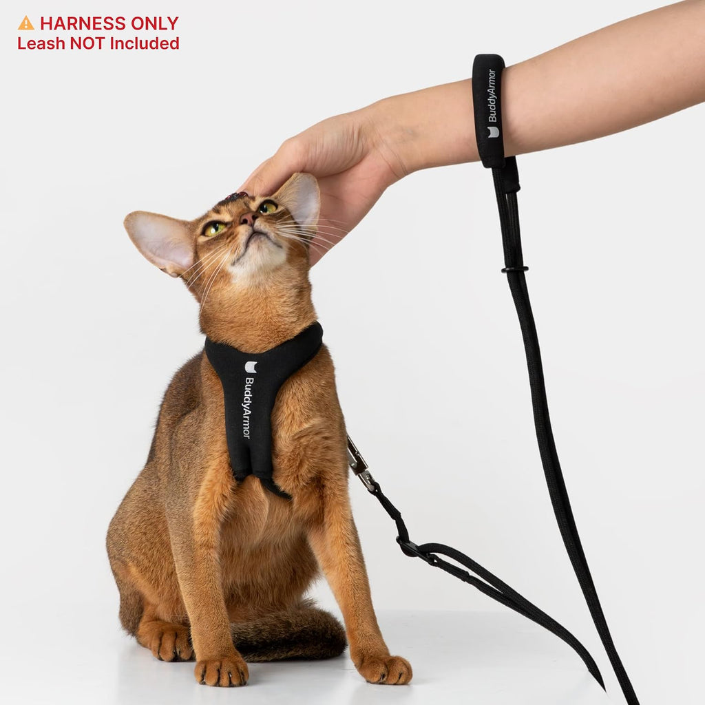 Escape Proof Y Shape Cat Harness Anti-Choke (Burgundy, M)