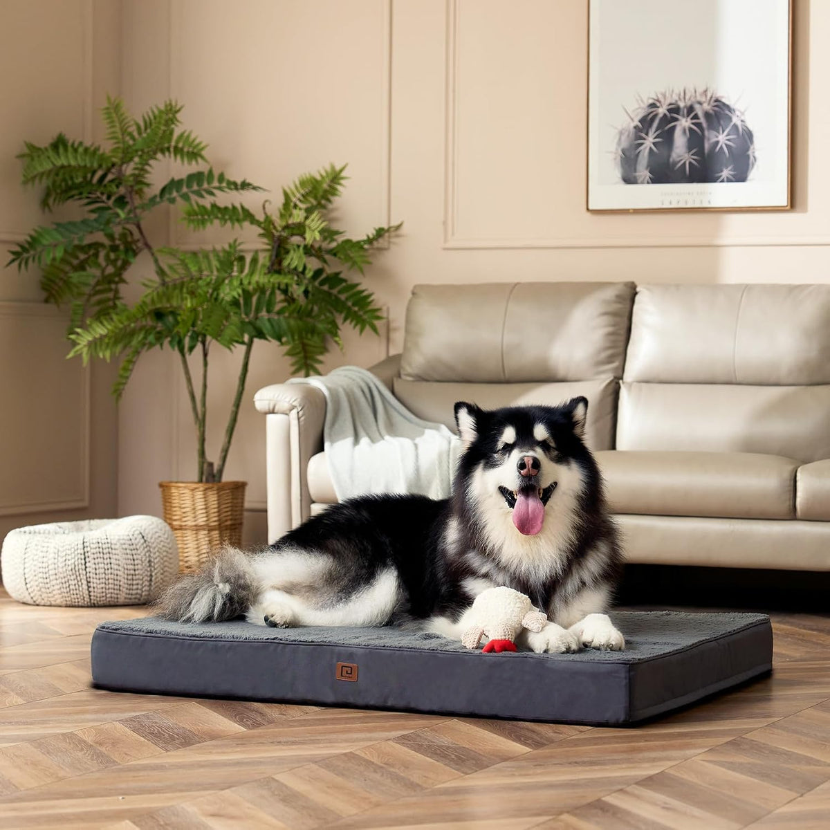 EHEYCIGA Orthopedic XL Dog Beds for Extra Large Dogs with Removable Washable Cover for Crate, Grey, 41x27 (Pack of 2)