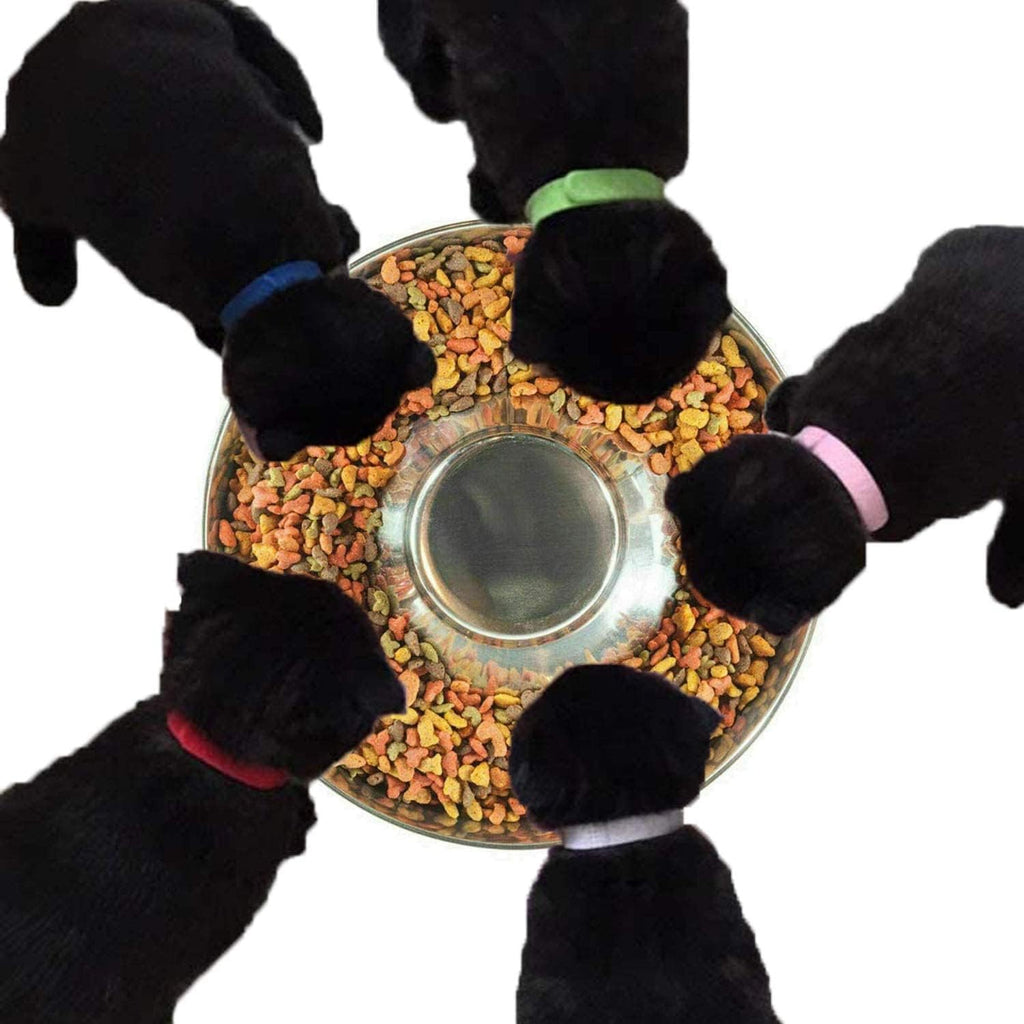 YUDANSI Stainless Steel Puppy Weaning Bowls,Cat Bowls for Food Water,Multiple Puppies Feeder Whelping Dishes,Litter Feeding Station Pans for Small Dogs Cats Eating at Same Time-Small Medium Large Size