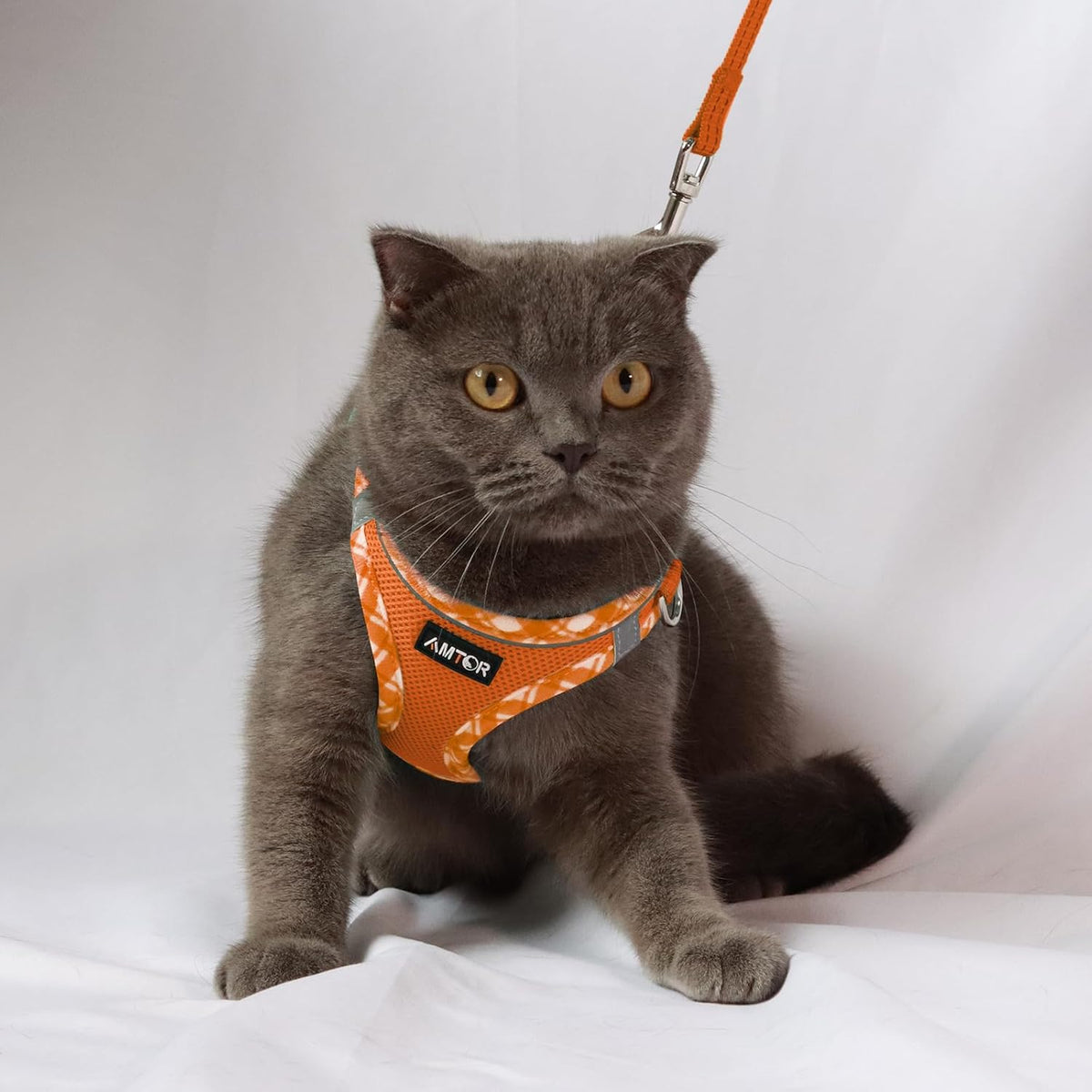 AMTOR Small Dog Harness with Leash Set, No Escape Easy Walk Puppy Harnesses for Training Walking, Step-in Reflective Soft Dogs Vest for XS S Medium Extra-Small Large Sized Dog(Orange/White,XXS)