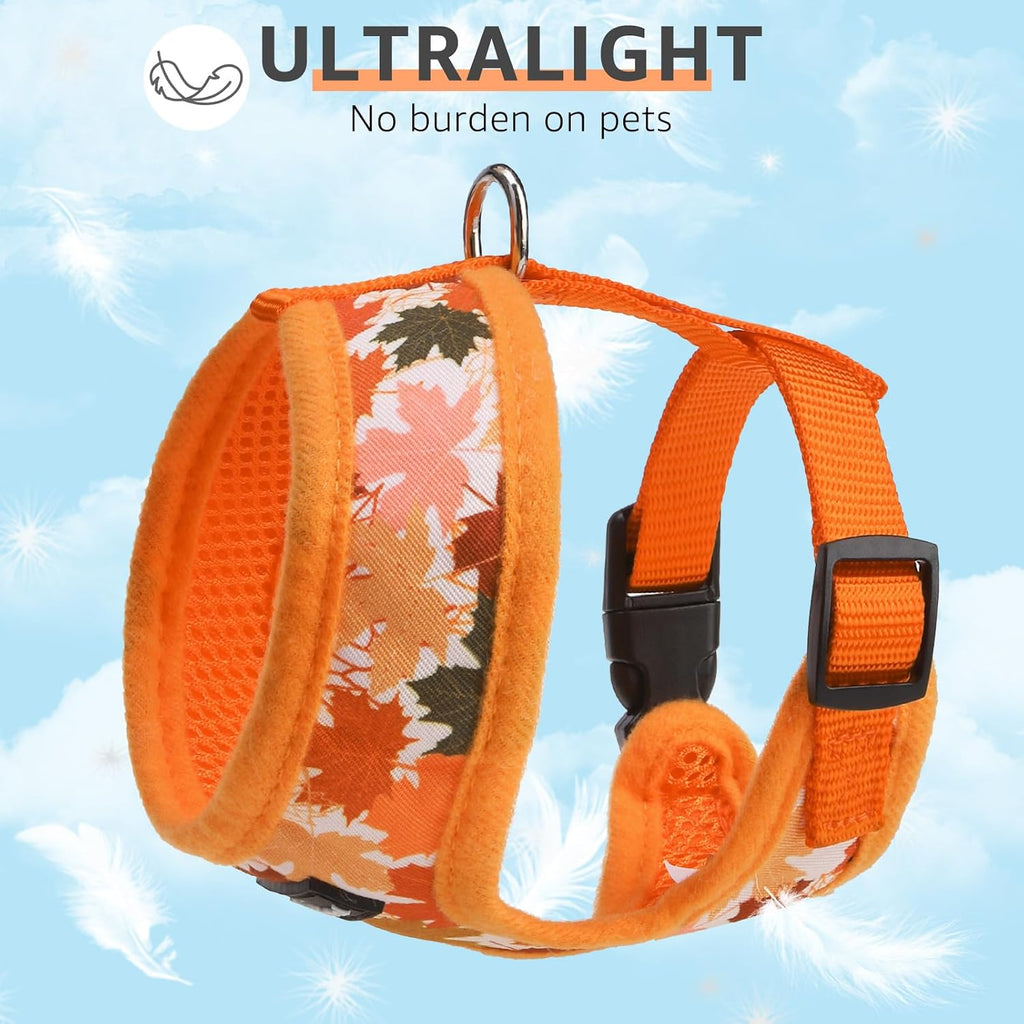 SCENEREAL Fall Dog Harness and Leash Set for Small Dogs