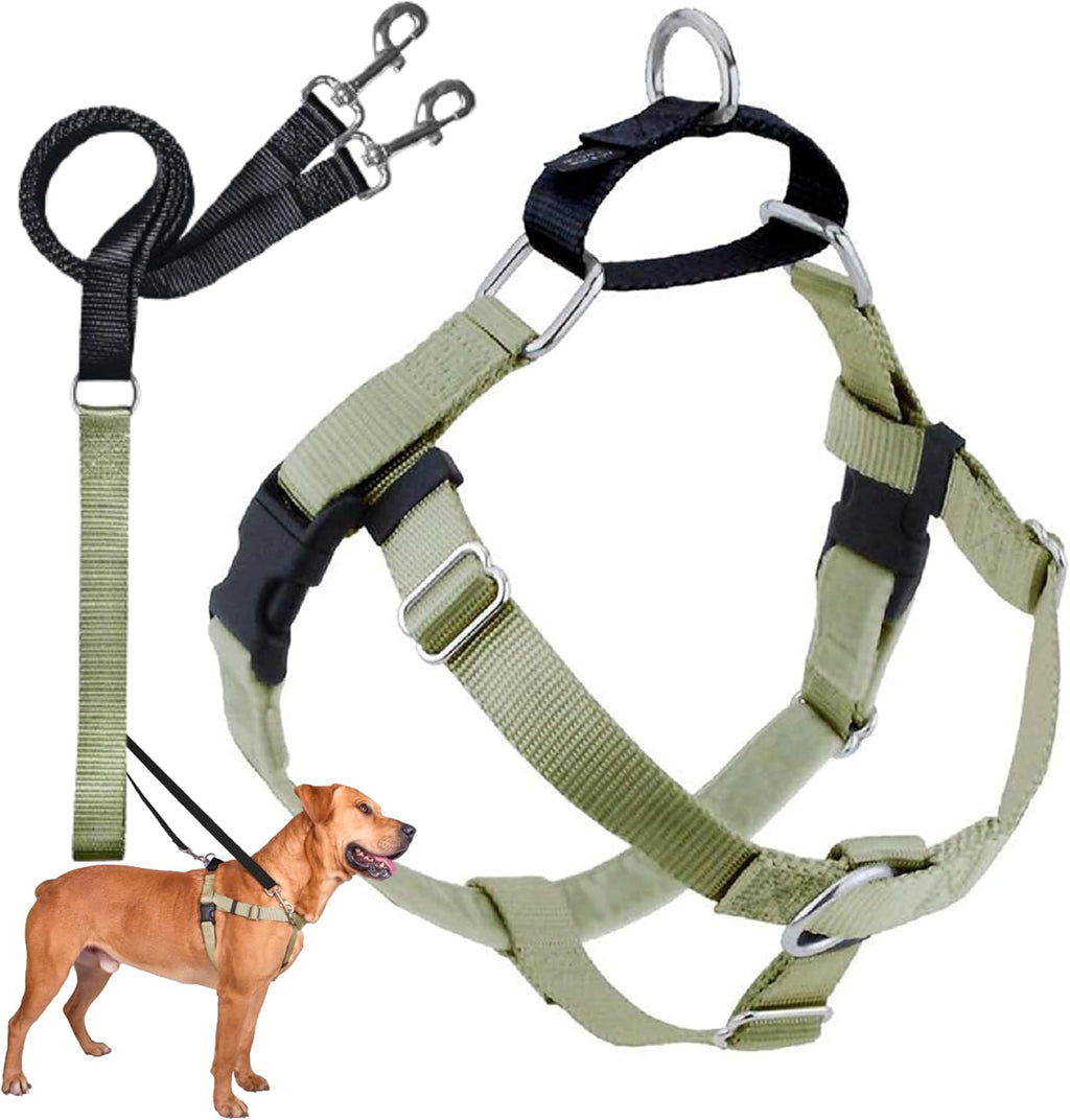 2 Hounds Design Freedom No Pull Dog Harness and Leash, 1" LG, Tan