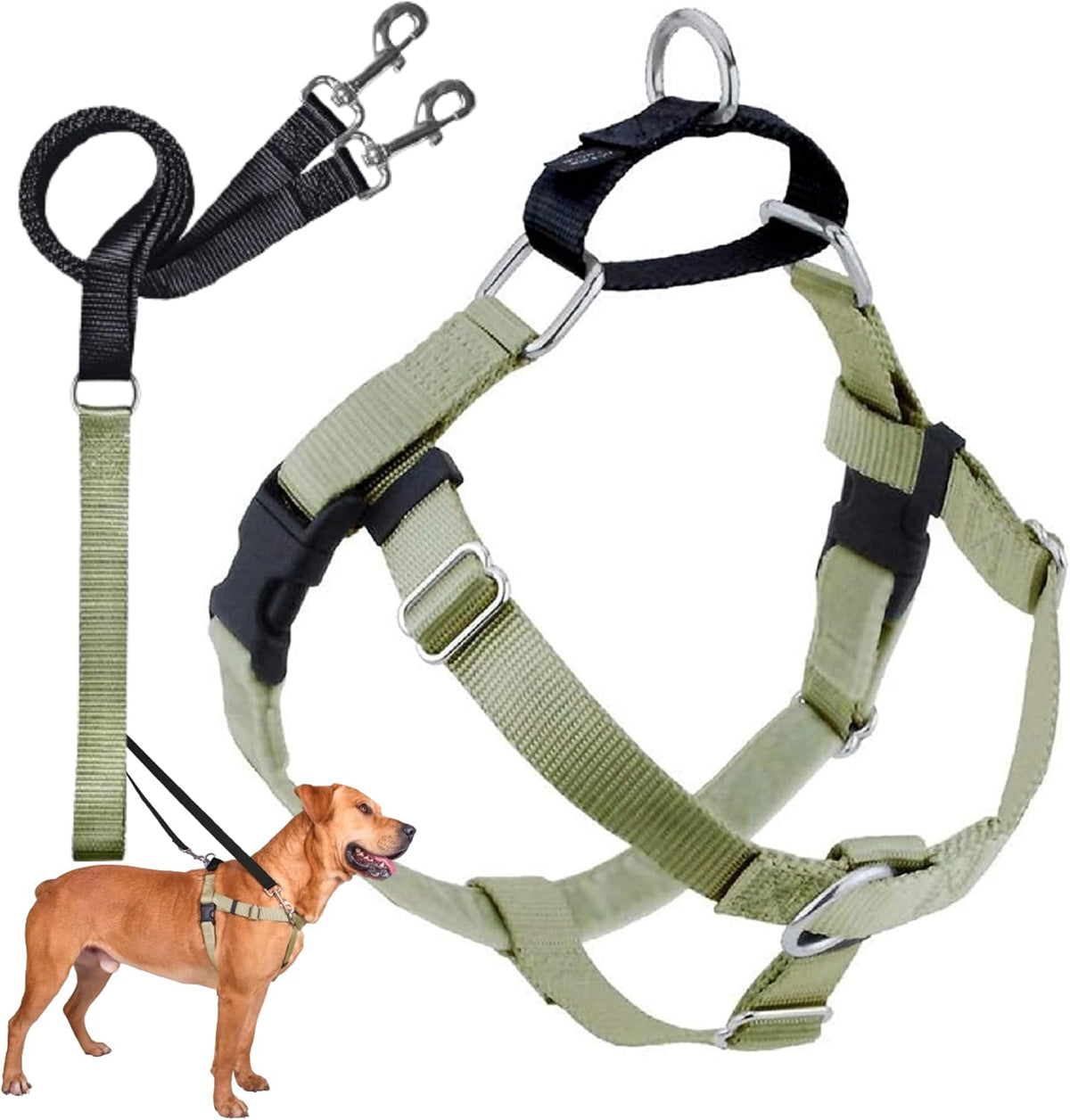 2 Hounds Design Freedom No Pull Dog Harness and Leash, 1" LG, Tan