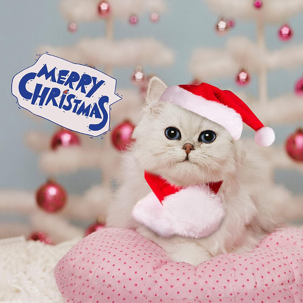 NAMSAN Pet Christmas Costume for Cats Small Dogs Rabbits, Santa Cat Hat with Red Scarf, Small Dog Xmas Hat Scarves, Red Christmas Cat Outfit for Holiday Party Cosplay Statue Decoration