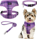 SCENEREAL No Pull Dog Harness and Leash Set Small Medium Sized Dog