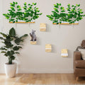Gemscream 2 Pieces Cat Wall Shelves with 4 Steps Wall Mounted Cat Shelves and Perches Cat Furniture for Cats Kitten Kitty Indoor Living Room Climbing Scratching Playing and Relaxing Playground