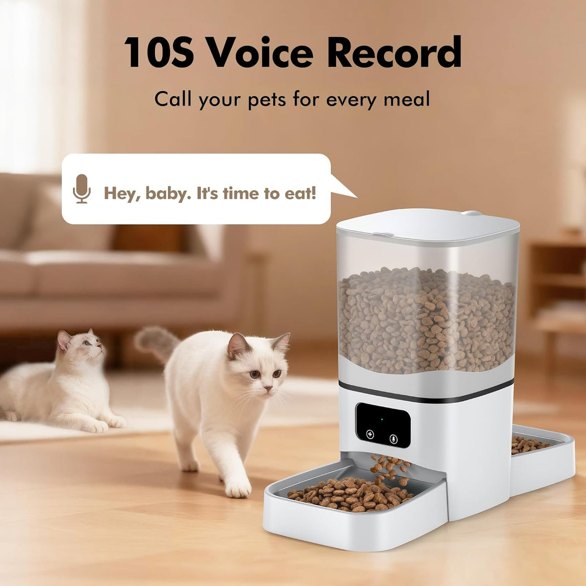Automatic Cat Feeder for 2 Cats, Precise Portion Control, 6L Large Capacity