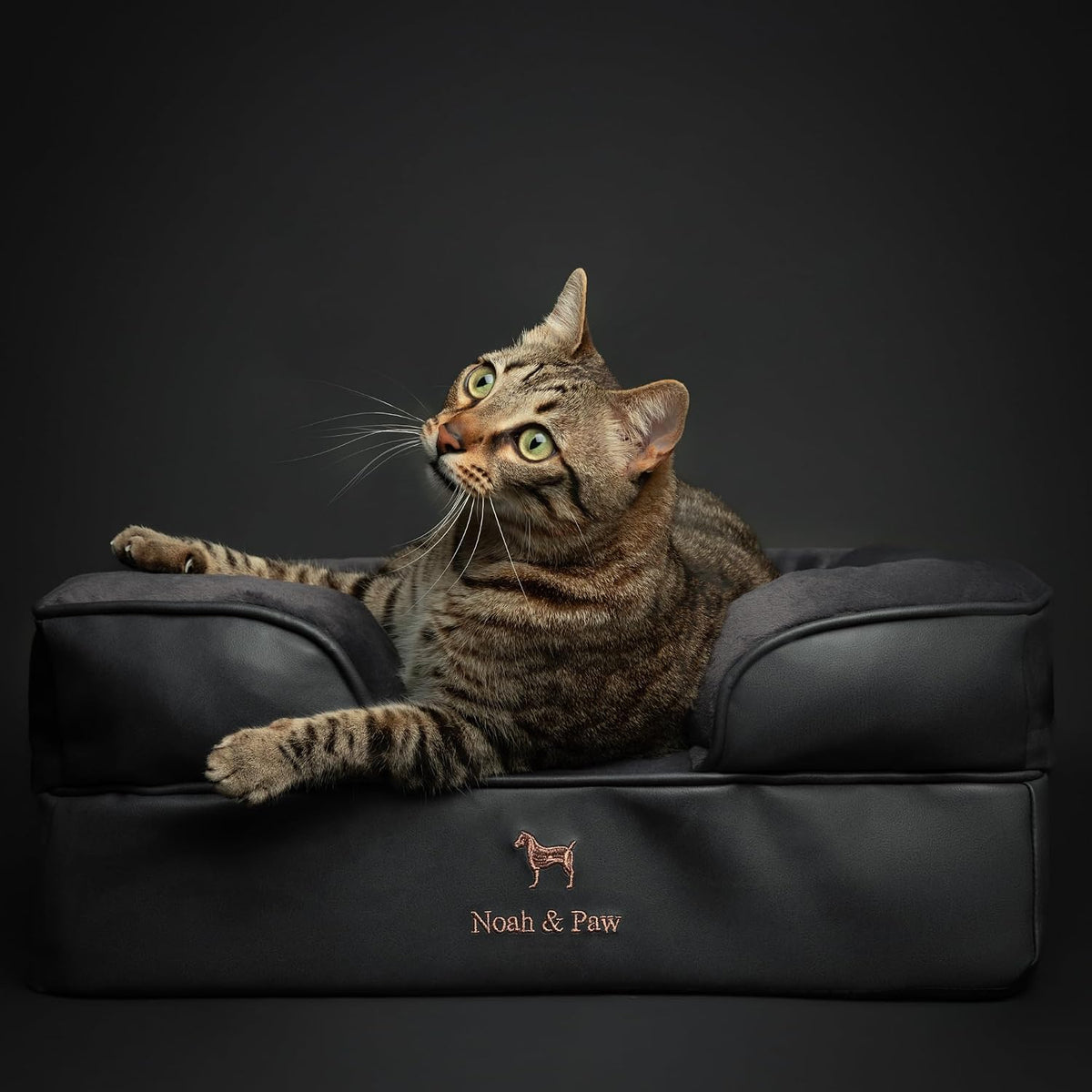 NOAH & PAW Cat Bed, XS Dog Bed, Orthopedic Memory Foam (2X Base) 20x15x8 in