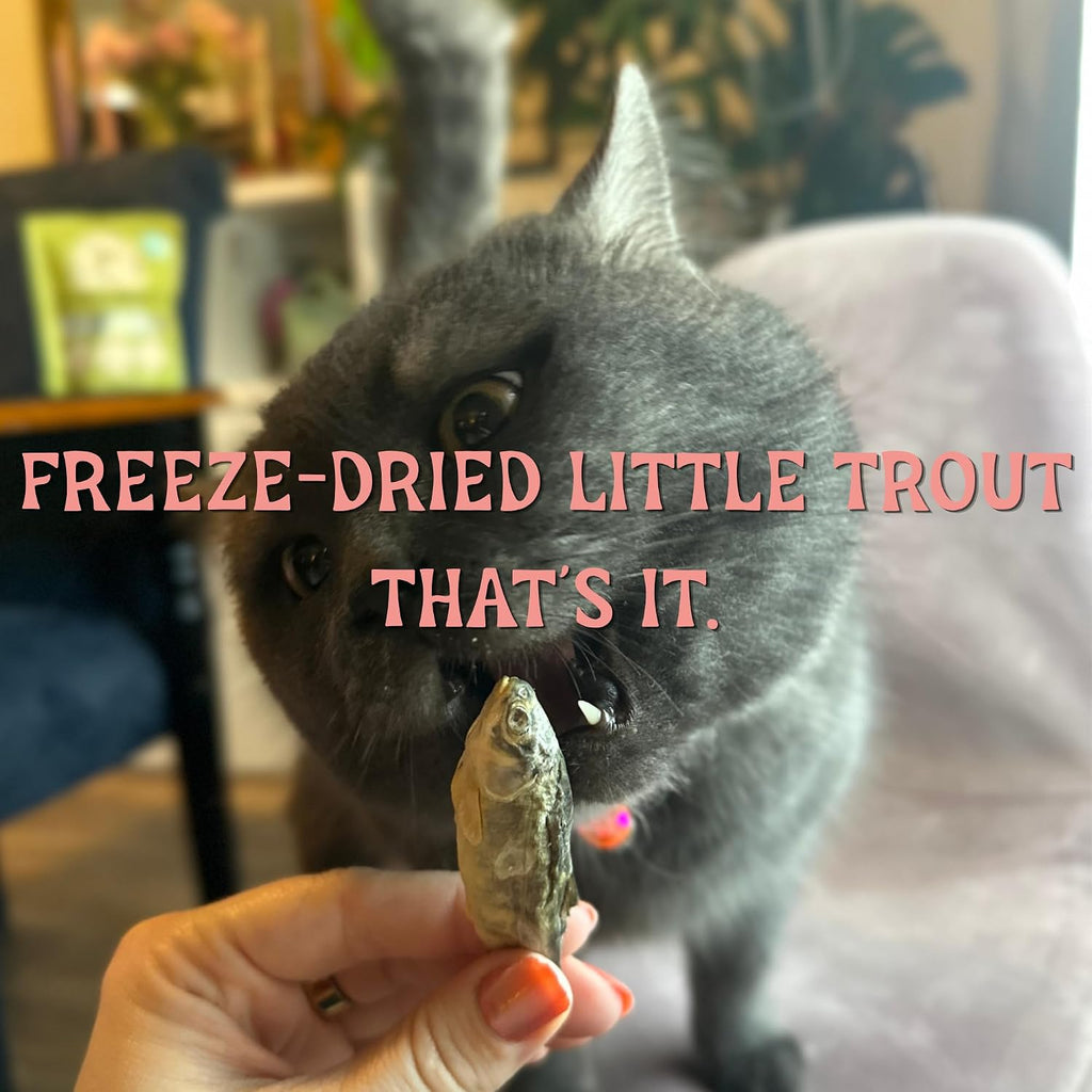 Little Trout, Freeze-Dried Raw Whole Trout Treats for Dogs and Cats, Single Ingredient, High in Natural Protein and Omega 3s (2 oz Package), 100% Grown, Harvested, Produced, and Packaged in USA