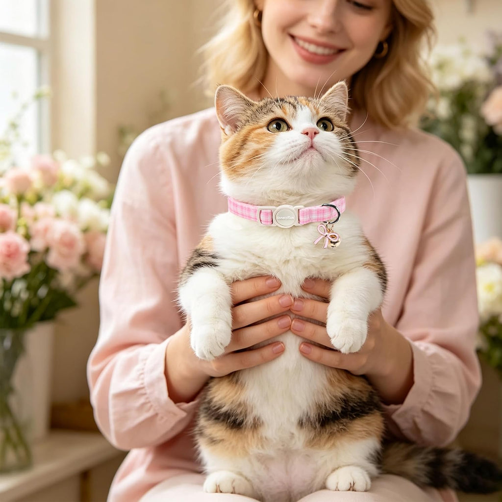lionet paws 2 Pack Cat Collar Breakaway with Bells-Pink Plaid & Strawberry