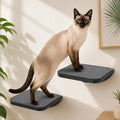 Grey Sisal-Padded Cat Wall Steps (2-Pack), Floating Wooden Cat Perch and Climbing Step Set, Wall Mounted Furniture for Jumping & Play