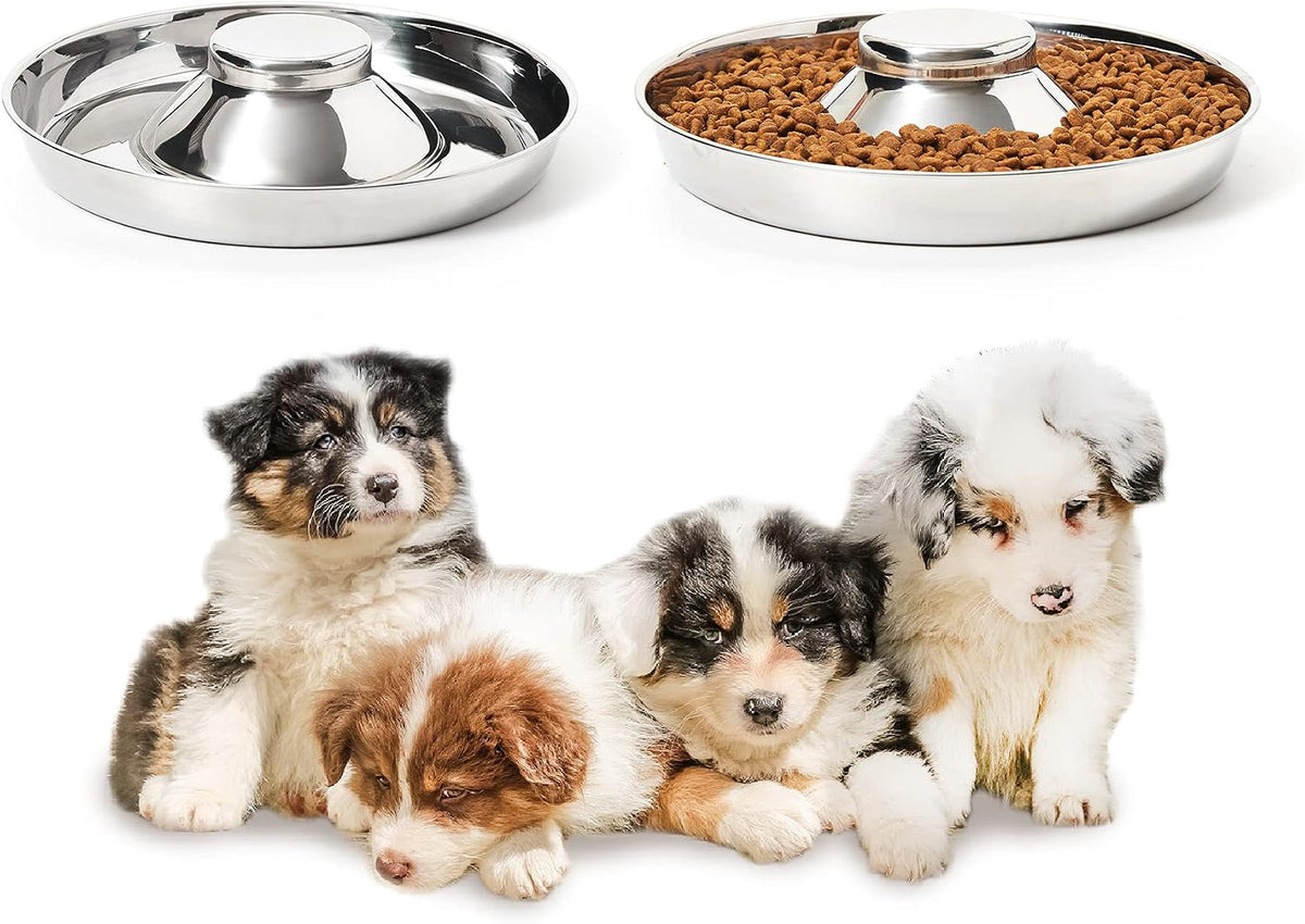 2 Pack Stainless Steel Puppy Bowls, Dog Feeding Bowl