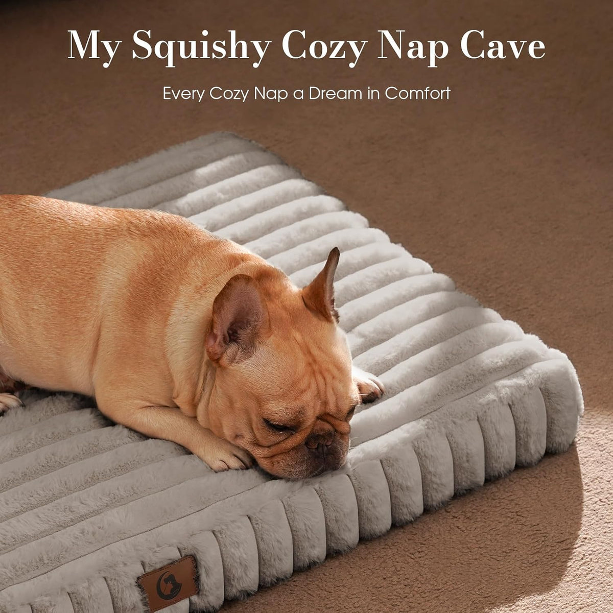 Medium Dog Bed Orthopedic Foam with Waterproof Lining