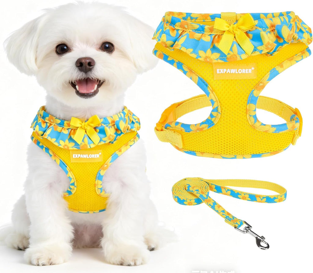 EXPAWLORER Step-in Small Dog Harness and Leash Set, Daffodil M