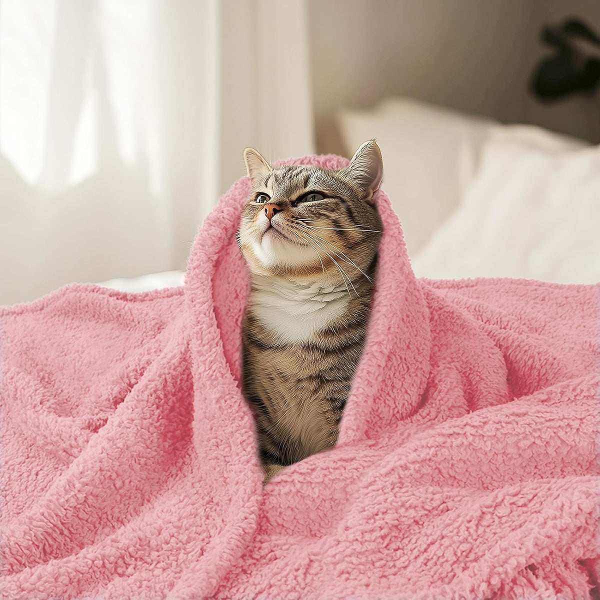 Luciphia Premium Fleece Pet Blanket for Small Medium Dogs Puppy Soft Sherpa Calming Cat Throw Blankets(Pink,30x20 inches)