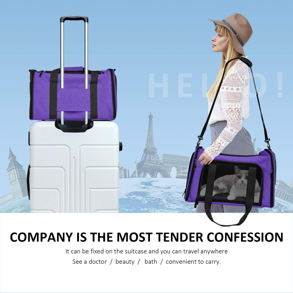 Henkelion Pet Carrier for Small Medium Cats Dogs Puppies up to 15 Lbs, Airline Approved Small Dog Carrier Soft Sided, Collapsible Travel Puppy Carrier - Purple