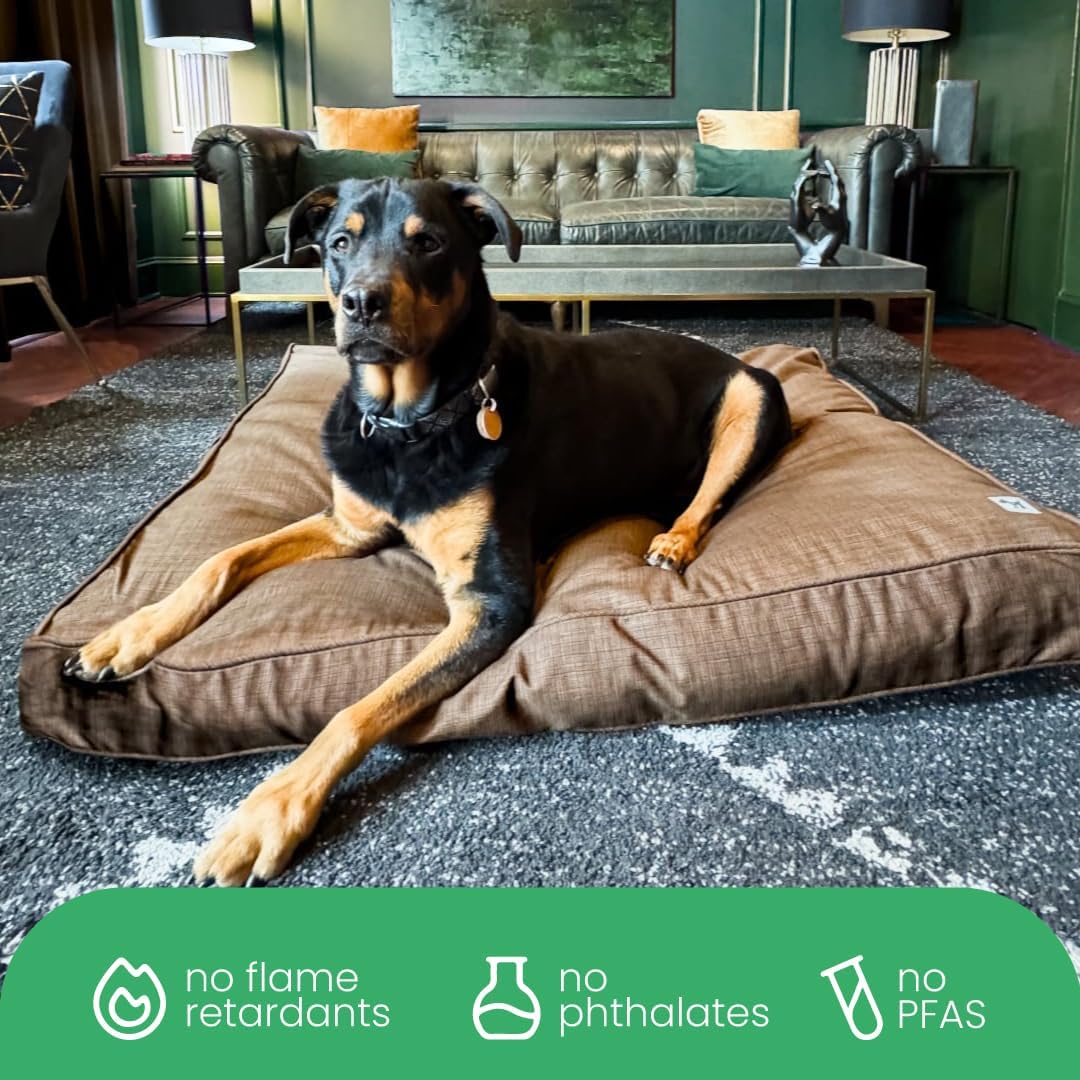 Molly Mutt Woodstock Dog Bed Duvet Cover, GOTS-Certified 100% Organic Cotton Canvas Cover for Dog, Puppy, or Cat Bed, Durable, Washable, and Free of Harmful Chemicals, Huge, 36"x45"x5"