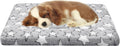 Dog Crate Mats, Dog Bed Mat, Cat Mat - Short Plush Pet Mat Crate Pad for Small Dogs, 1.6-inch Thick Thin Dog Mat, Machine Washable (Grey Star, 24.0" L x 16.0" W x 1.6" Th)