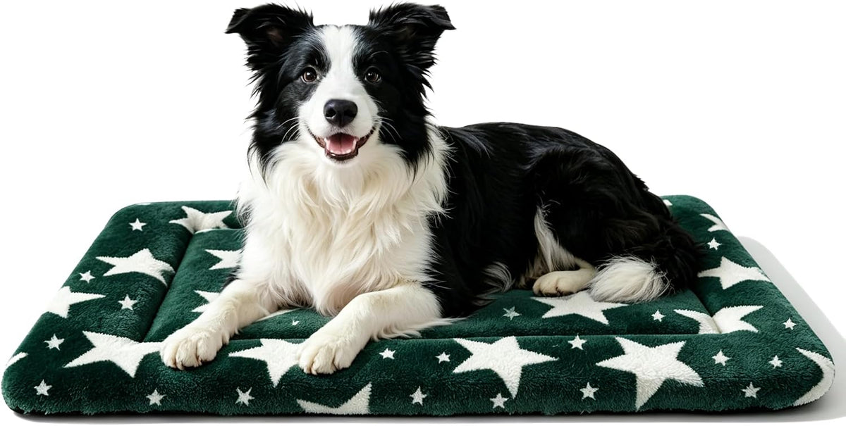 Dog Bed Mat, Reversible Crate Pad & Cute Dog Bed - Machine Washable Kennel Mat with Ultra Soft (Big&Small Stars Green, 30" L*20" W*1.5" Th)