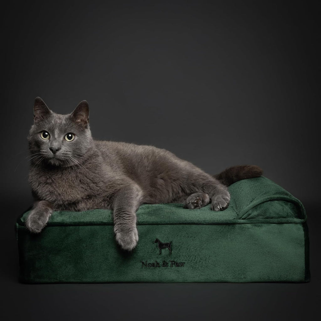 NOAH & PAW Small Cat & Dog Bed Orthopedic Cooling Memory Foam 20x15x6.5