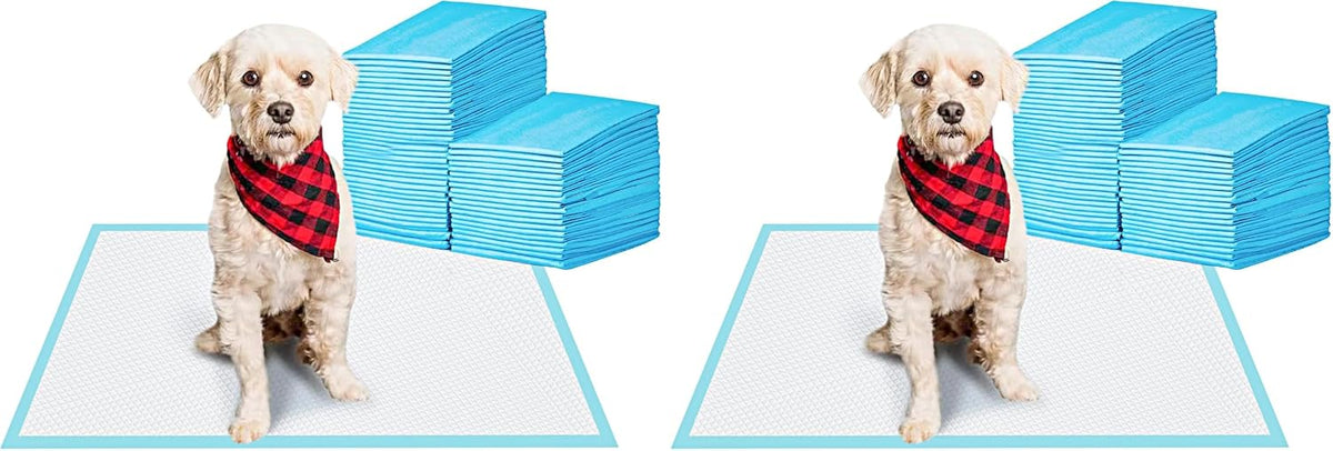 BESTLE Pet Training and Puppy Pads Pee Pads for Dogs 22"x22" Super Absorbent & Leak-Proof (Pack of 2)