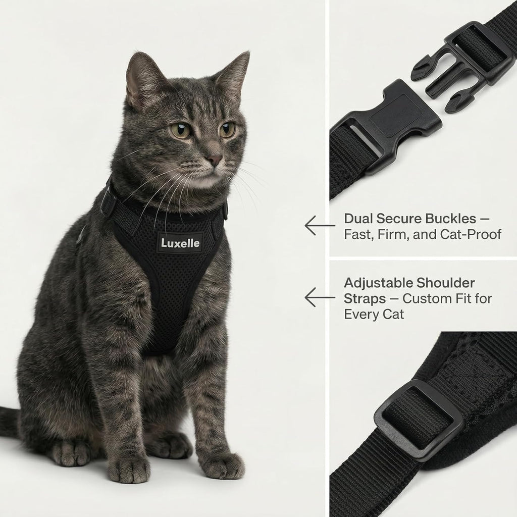 Luxelle 2 Pack Escape-Proof Cat Harness and Leash Set for Walking – Adjustable No Pull Soft Vest with Easy-Wear Buckle, Reflective Straps, Breathable Mesh – Outdoor Travel Harness for Cats & Kittens