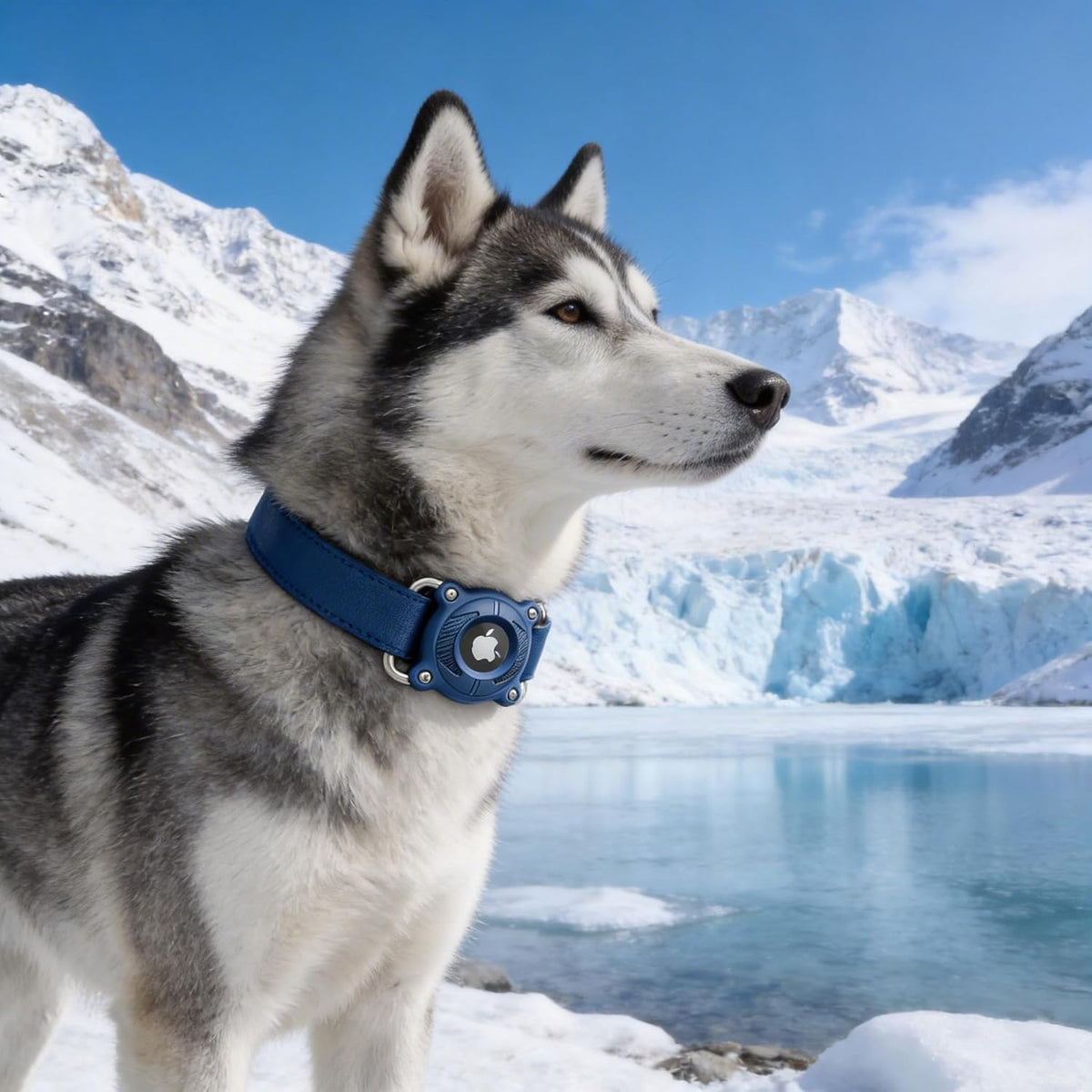 Waterproof Airtag Holder for Dog Collar,2 Pack