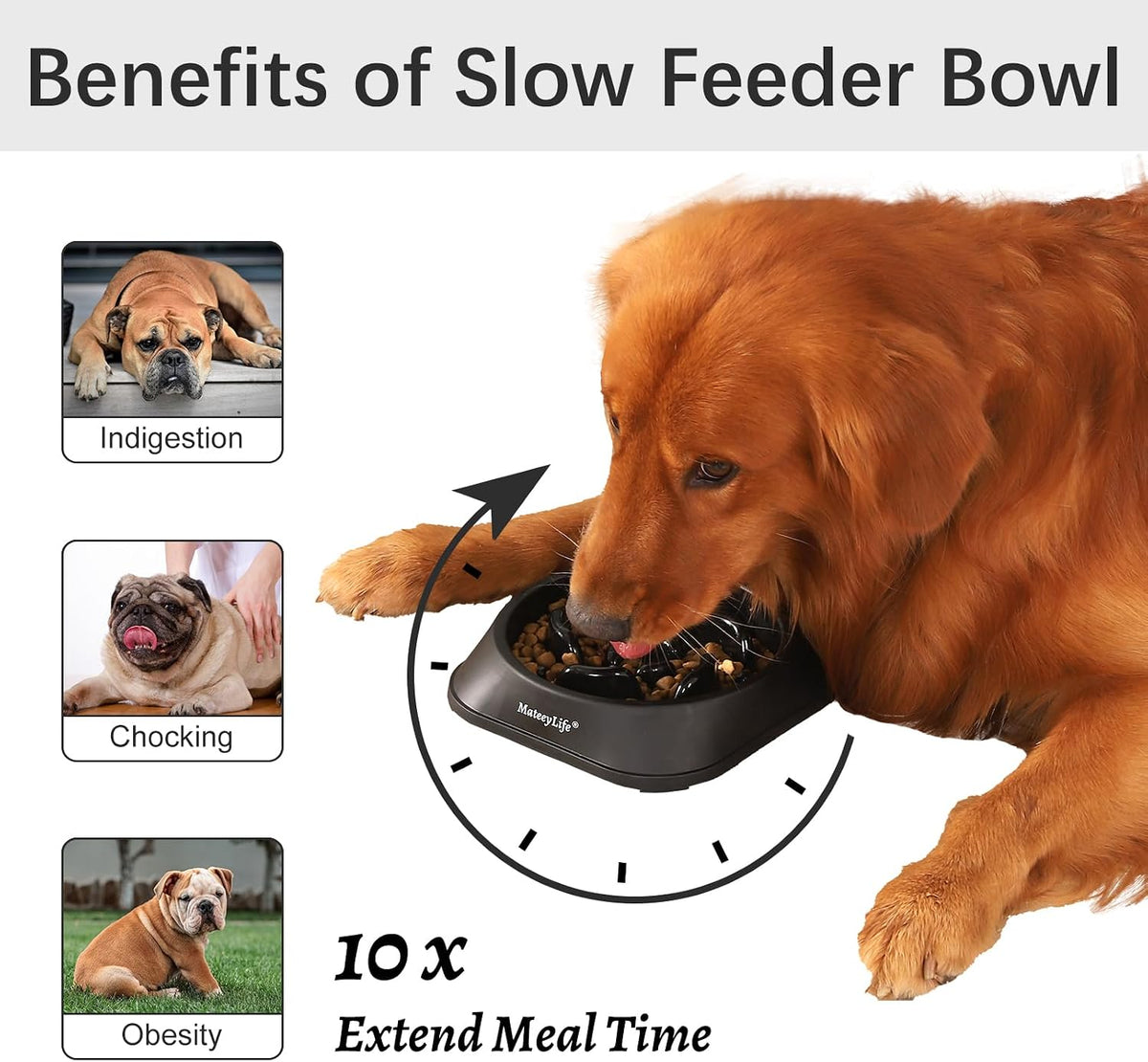 MateeyLife 2-Pack Slow Feeder Dog Bowls, 2 Cups, Dog Puzzle Feeder Bowl | Food-contact safe, dishwasher safe, non-slip base, maze design, for fast eaters, for dogs and cats, daily mealtimes