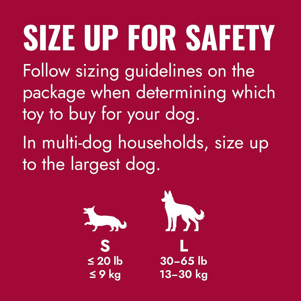 KONG Flyer - Durable Dog Toy for Outdoor Playtime - Natural Rubber Flying Disc, Dog Toy for Fetch - Safer Disc for Healthy Activity - for Small Dogs (Pack of 3)